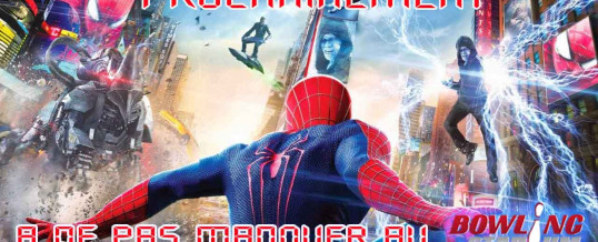 The Amazing Spider-Man : le destin d’un Héros